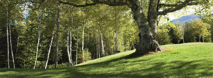 life insurance header