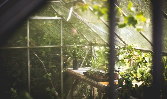 Greenhouse 691704 640