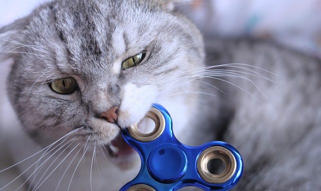 Fidget Spinner 2553337 640