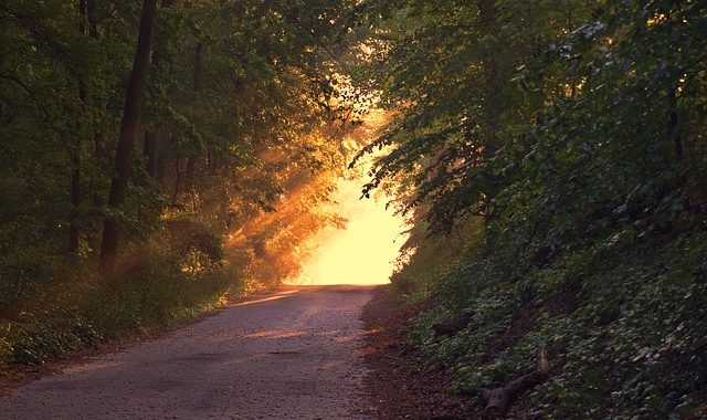 Sunlight 166733 640