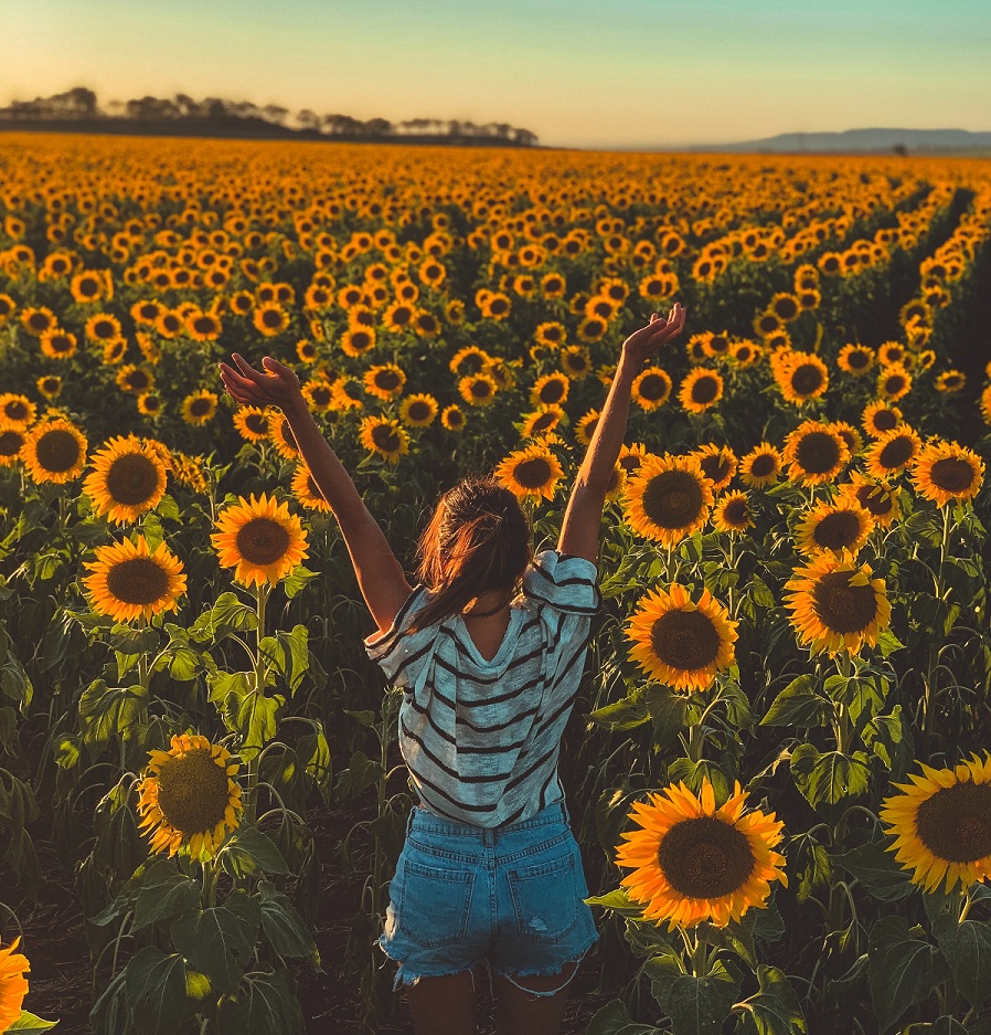 Carles Rabada AvOUmlZZMyY Unsplash