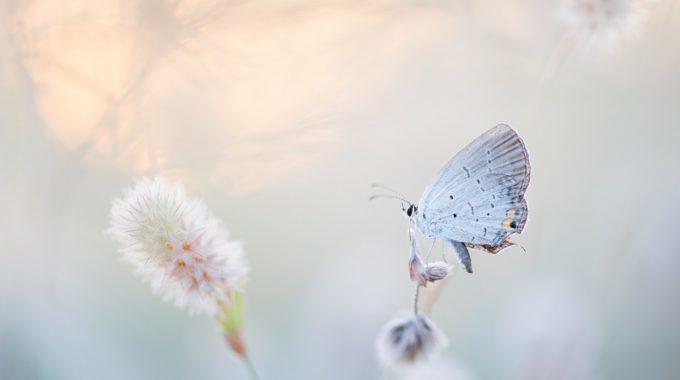Ray Hennessy QZzJoiKHqmo Unsplash
