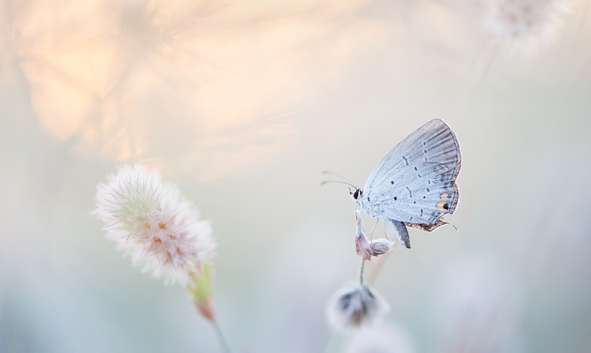 Ray Hennessy QZzJoiKHqmo Unsplash