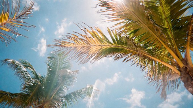 Jorge Vasconez CpeUoLVTAs8 Unsplash