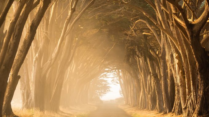 Stephen Leonardi GyIRjKPXupE Unsplash