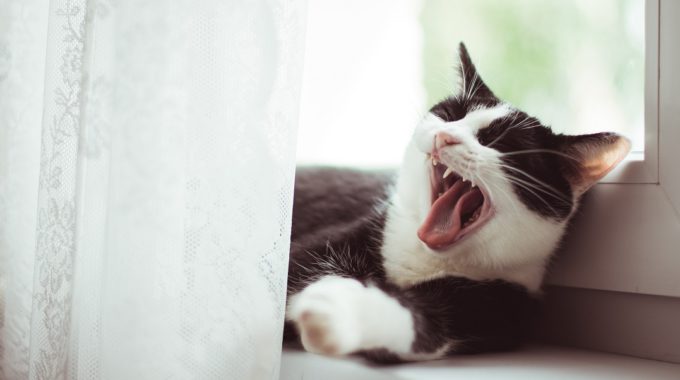Pufj EfpKvxhRT K Unsplash