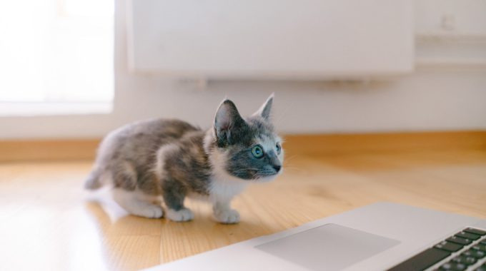 Sereja Ris G3B53PbBfwU Unsplash