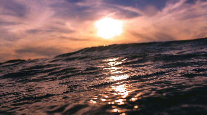 Daniel Delle Donne 0WrZceP8V28 Unsplash