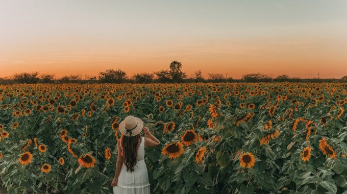 Marina Montoya YH5mR4pRXdg Unsplash