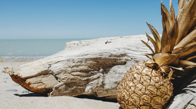 Pineapple Supply Co Irk9KPCWZoY Unsplash