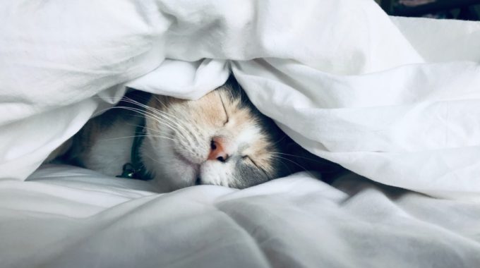 Kate Stone Matheson Uy5t CJuIK4 Unsplash Medium