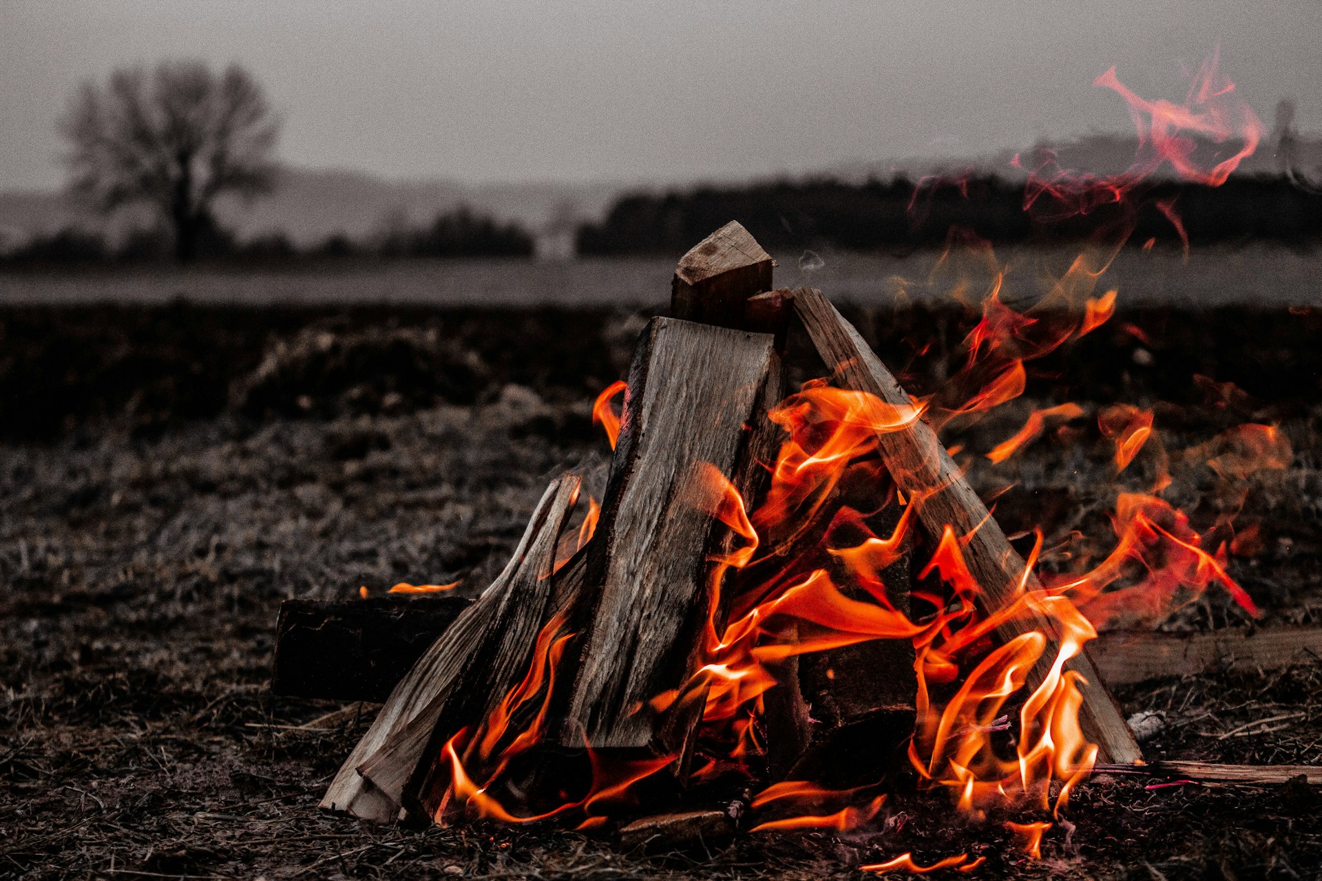 Marko Horvat F9bkzNQyylg Unsplash