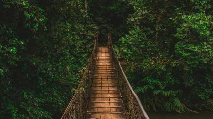 Ronaldo De Oliveira ZAkISnvAHRo Unsplash